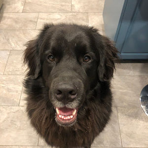 Meet your Posher, Jack